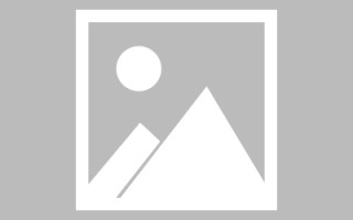 甘南新区景区网站建设（in art criticism,you must assume）